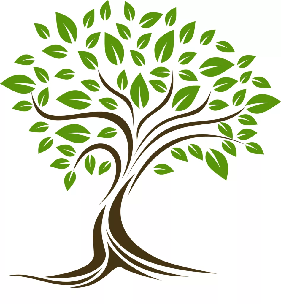 Formation pour thérapeutes : accompagnement vers la guérison <br>du 09 au 16 mai 2026 3 Arbre