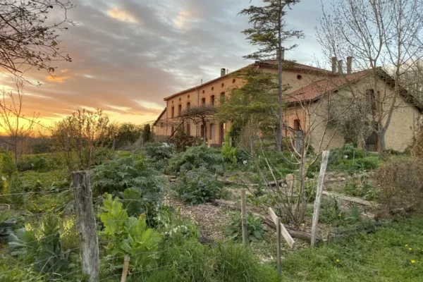 2A2E5CEF-994F-4EE7-9F4C-5173F992F3A5_1_105_c