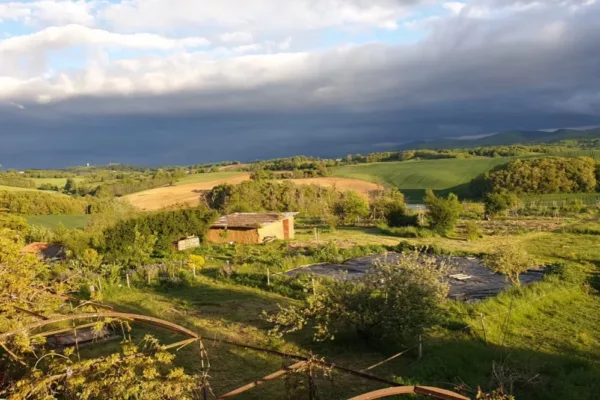 2D05D330-0675-4BCD-AB7B-A1BA75FC91AE_1_105_c