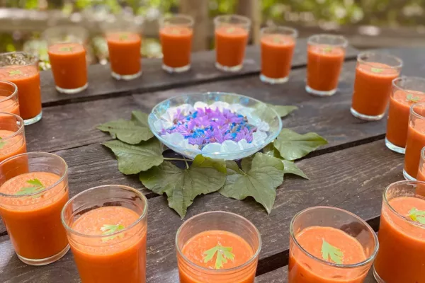 cd5f6a12-d082-4968-9d55-df2f9eca992b-0