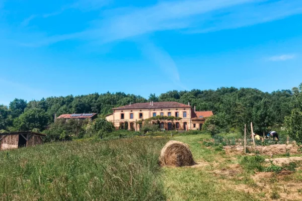 f6b00ea5-01a3-4e81-abf3-ae4e597b4a58