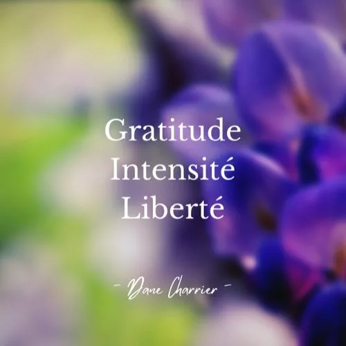 visuel lois univ 500x500 1