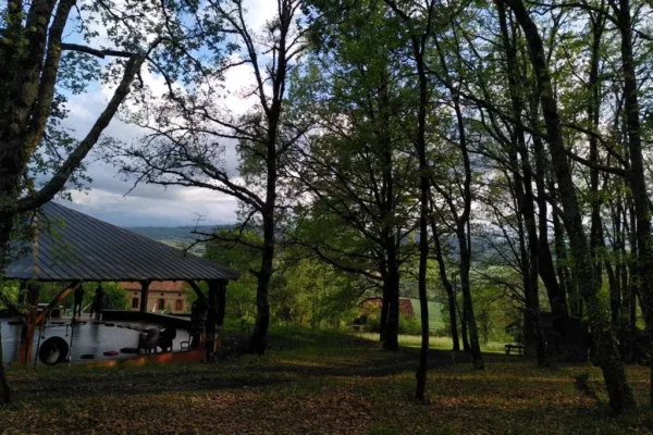 500abaf2-b9c8-4d2c-960b-5004f939f4a4