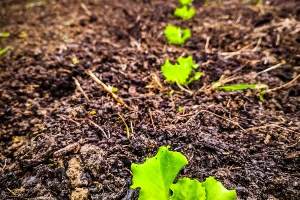 PHOTO-2023-05-02-16-36-31(8)