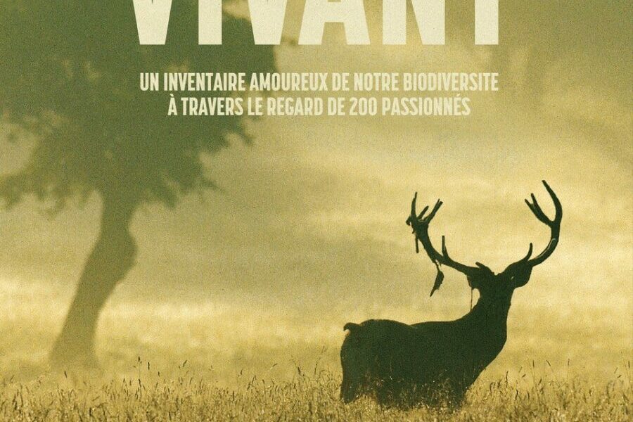 Film VIVANT 1