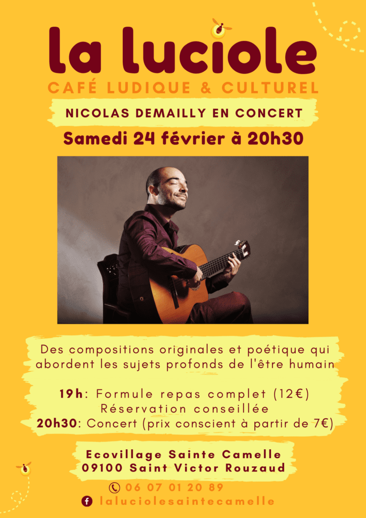 Nicolas Demailly en concert