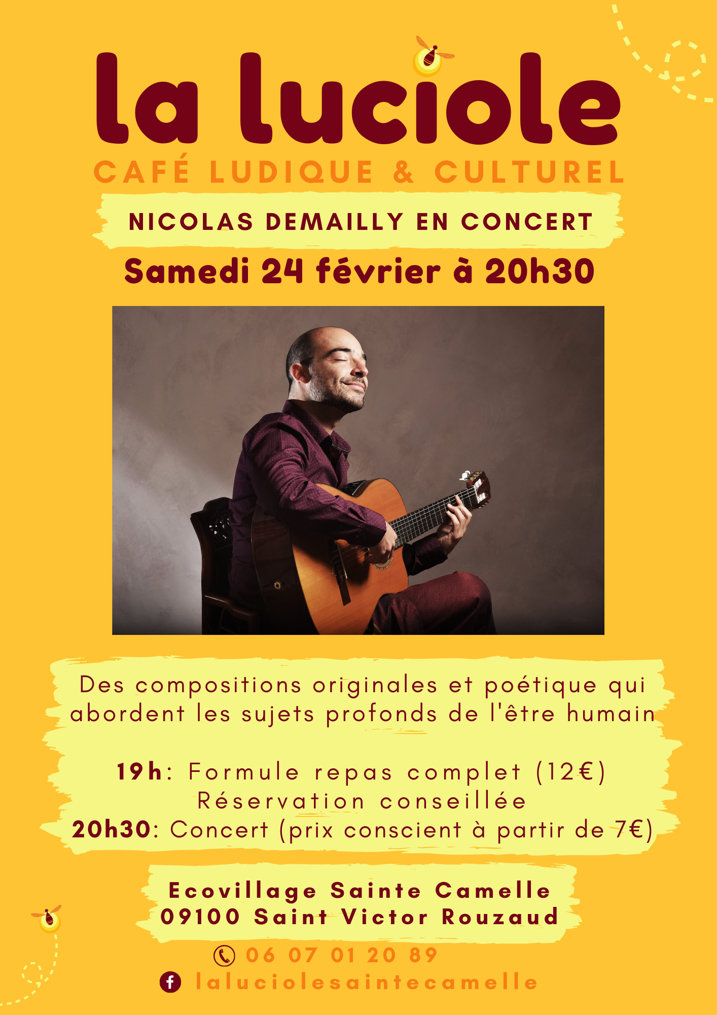 Nicolas Demailly en concert