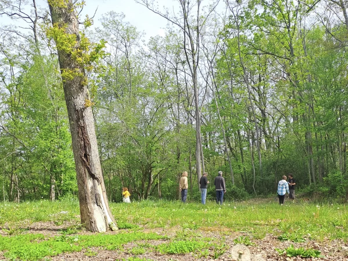 Organisez votre évènement 8 foret 2