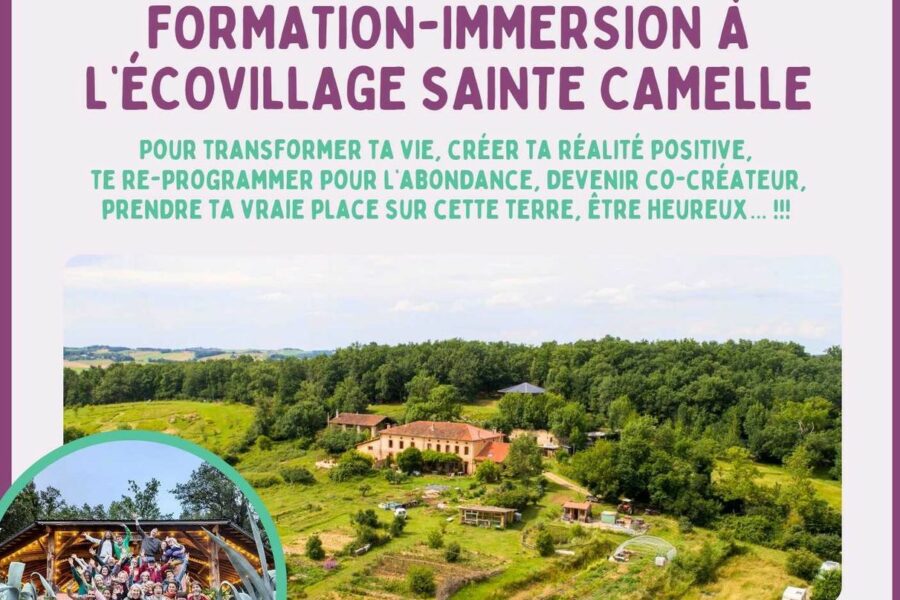 immersion 2025