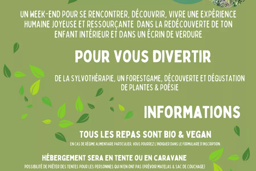 Ecoforest V3 0825