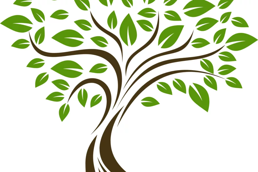 Formation pour thérapeutes : accompagnement vers la guérison <br>du 09 au 16 mai 2026 3 Arbre